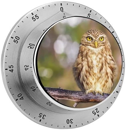 Küchentimer Eule Countdown Magnetischer Timer Küchenuhr Für Kochen Sport Studieren 8cm