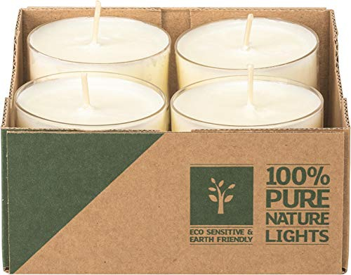 Lot de 24 bougies chauffe-plat colza dans un étui transparent, durée de combustion : 10 heures avec briquet Dittmeier