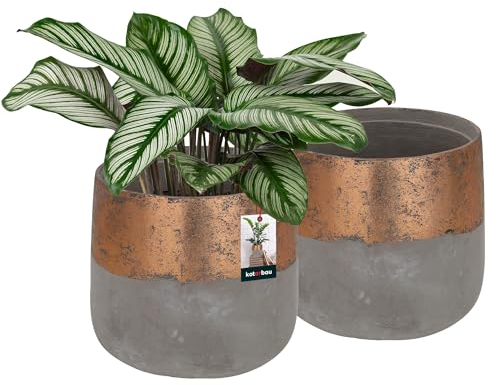 KOTARBAU® 2er Set Blumentopf Keramik Groß Roségold Unglasiert ⌀ 11,5 cm Höhe: 12 cm Pflanzkübel Übertopf Vintage