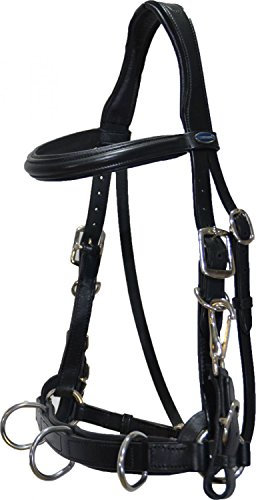 Euroriding Trensen Kappzaum Leder AtlantaPony schwarz