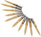 10 Piezas 3.175mm Herramienta de Tallado,30 Degree Tip 0.2mm Conjunto de Fresas CNC Cuchillo Recubierto de Titanio Molino Grabado Bits Fuerte y Dura con Caja de Plástico