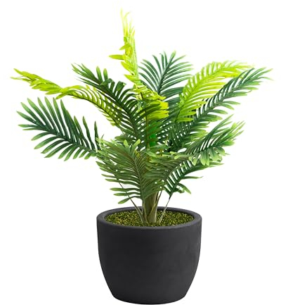 NICOLI VASO HERA MATT CIOTOLA, IN RESINA ROTAZIONALE, PER INTERNO ED ESTERNO, DIAMETRO CM 30-40 -50-60 (Ø cm 40 con palma 100cm, antracite)