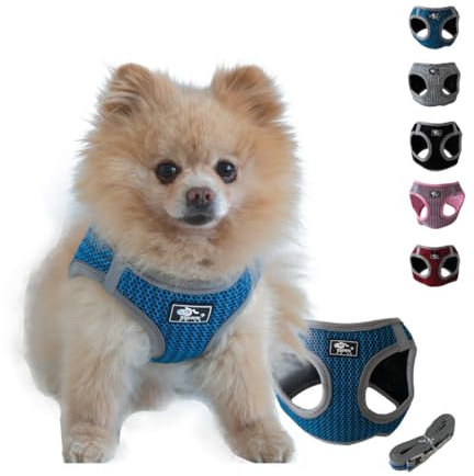 NEEZ Premium Geschirr für Katzen und kleine Hunde mit Leine | Super Bequeme Katzenweste | Ausbruchsicher und atmungsaktiv | Farbe: Blau/Grau Größe: XS