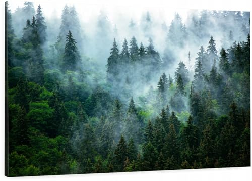 HUBDECO Leinwand Bilder Wohnzimmer - Bilder, Poster, Kunstdrucke - Leinwandbild - Bild auf Leinwand - Tolle Zimmerdekoration - Schlafzimmer Bilder - 120x80 cm Nebel Natur