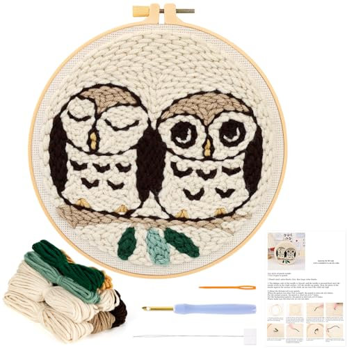 JSRQT Punch Needle Stickerei Set für Anfänger, Friends-Thema Punch Needle Set mit Eulenmuster für Erwachsene Kinder, Stickset Stanznadel Kit mit Punch Needle, Stickrahmen, Stickstoff, Nadel und Garn