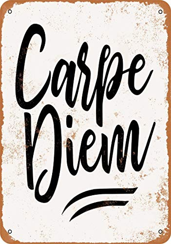20 x 30 cm Metall-Blechschild, Carpe Diem, Kunstschild, Heimdekoration für Café, Bar, Zimmer, Vintage-Dekor