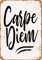 20 x 30 cm Metall-Blechschild, Carpe Diem, Kunstschild, Heimdekoration für Café, Bar, Zimmer, Vintage-Dekor