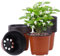 Macetas de Plástico Grueso, 40Pcs 10CM Macetas de Cultivo para Plantas, Macetas de Jardinería para Interiores y Exteriores para Semillas, Verduras, Suculentas, Color Marrón