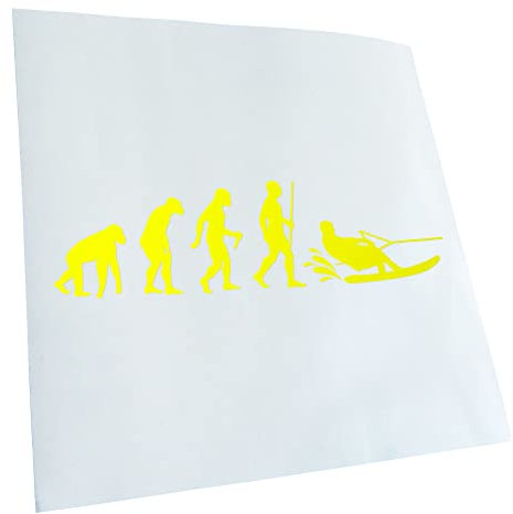 Kiwistar - Autoaufkleber - Wakeboarden Ski Evolution - Neongelb - 20x5,4cm - Aufkleber für Auto, Laptop, Fahrrad, LKW, Motorrad Mehrfarbig JDM Decal Racing