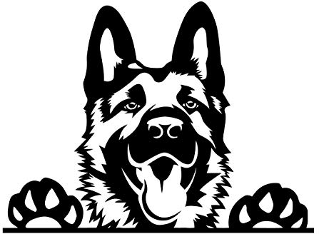 myrockshirt Niedlicher Deutscher Schäferhund Typ2 German Sheperd 20cm Aufkleber Autoaufkleber Profi-Qualität ohne Hintergrund Sticker UV&waschanlagenfest