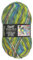 Frida's Wollhaus Opal 100 g Hundertwasser Sockenwolle 4-fach Strümpfe Socken Stricken 24 Farben (1433 | Silver Spiral)