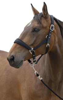 OR S-LINE Norton Halfterset Large Halfter & Führstrick Set für Pferde (Schwarz, Warmblut)