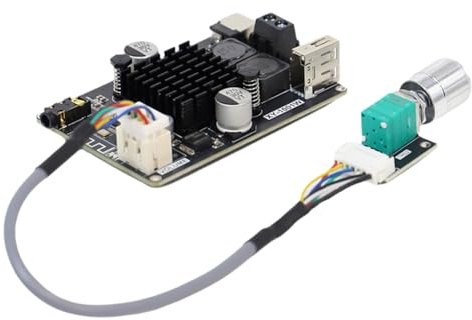ISTOVO XY-1001W Bluetootooth Audio Amplificateur Board 100W Module Audio High Power Mono TPA3116 Module D'Amplificateur Sound Power 1001W-A