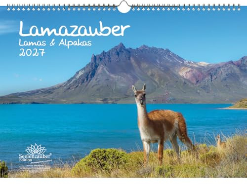 Lamazauber DIN A3 Kalender für 2027 Lama Alpaka - Seelenzauber