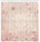 ABAKUHAUS Rosa Duschvorhang, Vintage Cottagecore Thema Gedämpfte Rouge Töne Florale Akzente und Linien, Stoffliches Gewebe mit Haken, 175 x 200 cm, Blasses Lachs Getrocknete Rose