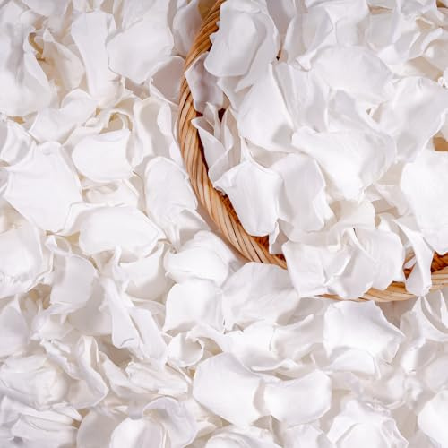 Rosenblätter Valentinstag Deko, Echte Rosenblüten Heiratsantrag Verlobung Deko für Romantik, Ideal als Jahrestag Hochzeitsdeko, Weiss Rosen Geschenke für Frauen, Ewige Rose Romantische Geburtstag Deko