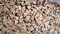 Wohltuer Brennholz Kaminholz Grillholz 100 Kg ofenfertig gespalten in 25 cm Scheiten kammergetrocknet