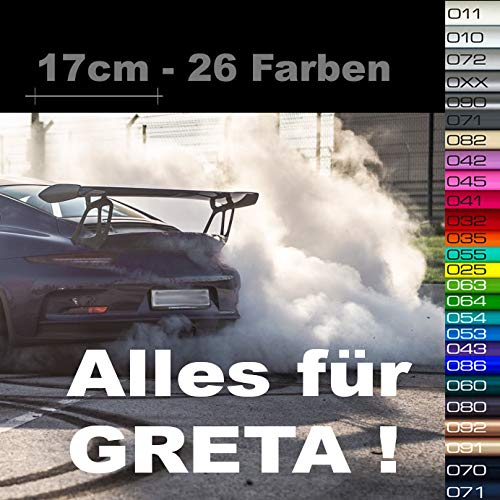 Alles für Greta Aufkleber - Fridays for Tuning, Hubraum Sticker, Klimagretel, Feinstaub Terrorist, Dirty Diesel, Umweltplakette