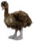Emu Kuscheltier Vogel Laufvogel stehend Premium Plüschtier Strauß LOTTE - Kuscheltiere*biz