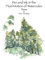 Pen and Ink & the Fluid Motion of Watercolor: Trees: A Workbook for Beginning Pen and Ink and Watercolor Artists
