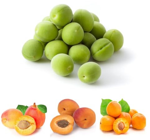 10 Pcs Aprikosenbaum Samen, Aprikosen, Gartendeko Für Draußen, Obst Samen, Prunus Armeniaca, Winterharte Pflanzen Für Garten, Samen Alte Sorten Bäume Garten Winterhart, Obstbaum Früchte