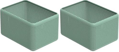 Rotho Madei Aufbewahrungskiste 13l, Kunststoff (PP recycelt) BPA-frei, Türkis, 13l (32,6 x 23,8 x 18,8 cm) (Packung mit 2)