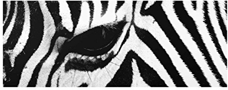 Bilderwelten Top Tiere Glasbilder Wandbild Foto Kunstdruck 30 x 80 cm, Zebra Crossing