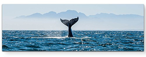 Paul Sinus Art Leinwandbilder | Bilder Leinwand 150x50cm Schwanzflosse Wal im Meer