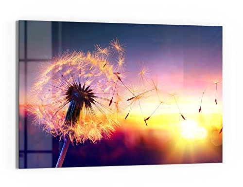 DEQORI Glas-Magnettafel | 90x60 cm groß | Motiv Pusteblume im Abendlicht | Memo-Board aus Glas | Magnetboard inkl. Magnete, Stift & Tuch für Küche & Büro | Tafel magnetisch & beschreibbar