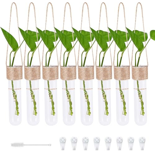 Lot de 8 vases décoratifs en tubes à essai pour terrarium - Décoration murale - Vase à suspendre pour culture hydroponique - Plantes - Décoration de salon, bureau