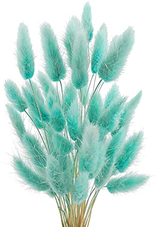 JKDHJK 50 Stäbchen Pampasgras Trockenblumen Verwelken Nie Trockenblumen Deko Boho Deko Super Flauschig Für Deko Schlafzimmer, Badezimmer Deko, Tischdeko, Wand Deko (Helles Tiffanyblau)