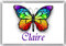 Personalised BUTTERFLY JUMBO FRIDGE MAGNET Overall Size 9.7cm by 6.7cm