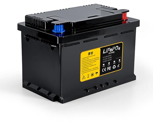 SSCYHT Batería Litio Arranque automóvil Batería fosfato Hierro Litio 12.8V Paquete baterías LiFePO4 12V 50Ah 100Ah para automóviles/triciclos Batería Repuesto para baterías Plomo-ácido,12v50ah b