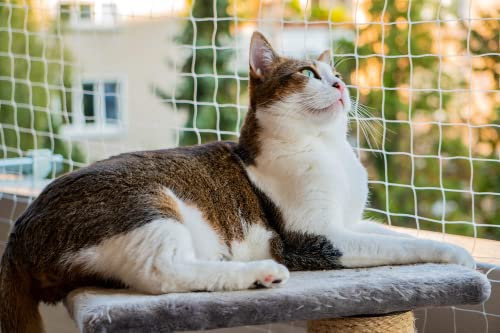 AIYGO Balkonnetz für Katzen, 3 x 10 m, langlebiges Nylon, Balkonschutz für Haustiere, Sicherheitsnetz für Balkon, Fenster und Terrasse