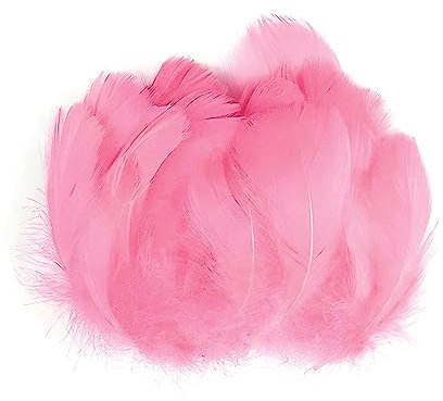 Gänsefedern Pink 7-12cm - 100 Stück (5g) - Hochwertige, Flauschige & Natürliche Federn für Basteln, Dekoration, DIY Projekte, Traumfänger, Schmuckherstellung & Mehr