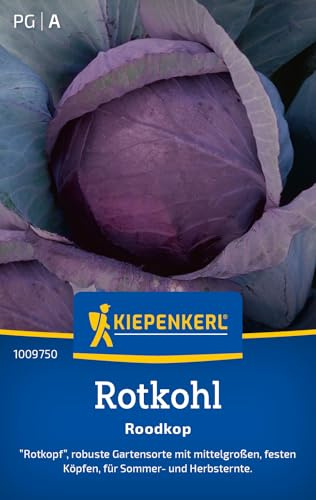 Kiepenkerl Rotkohlsamen Roodkop 1009750, Gemüsesaat | Inhalt für 60 Pflanzen, Samen Rotkohl, Gewicht 2-3 kg