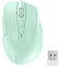 TECKNET PRO Mouse Senza Fili, 4000 DPI Mouse Wireless Ergonomico, 2,4G Mouse Ottico con Ricevitore Nano USB, 6 Pulsanti, Durata di Vita di 24 Mesi Compatibile con PC, Mac, Laptop