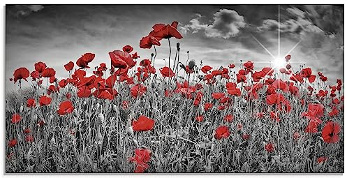 ARTland Wanddeko Glasbilder Wandbild Glas Bild einteilig 60 x 30 cm Pflanzen Blumen Blumenwiese Mohnblume Rot Foto Schwarz Weiß Idyll Sonne S8HV