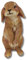 G&H Decor 17 cm süße Kaninchen auf Bank, Gartenstatue, Hasen, Rasendekoration, Figur mit aufwendigen Details, frostbeständige Kaninchenskulptur für drinnen und draußen – Geschenk für Hase und Terrasse