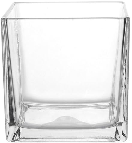 HOLIDYOYO Jarrón cuadrado de cristal de 15 x 15 cm, jarrón cubo transparente terrario suculentas, plantas aéreas, portavelas hidropónicas, centro decorativo