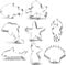 Lot de 8 emporte-pièces en forme de créature de l'océan, queue de sirène, dauphin, étoile de mer, coquillage, hippocampe, requin, poisson-clown, moules à biscuits en acier inoxydable
