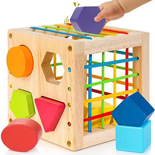 Winique Formsortier-Holzspielzeug ab 1 Jahr, Montessori sensorisches Spielzeug, Babyblöcke, Feinmotorik Sortierspiele für frühes Lernen, Geschenk für Kleinkinder Jungen Mädchen ab 12 Monate