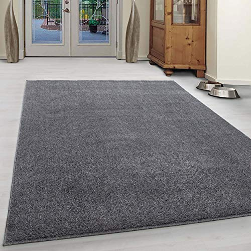 Ayyildiz Teppich-Teppich Modern Designer einfarbig kurzflor, Polypropylen, Hellgrau, 200 X 200