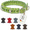 CopcoPet Hundehalsband aus Fettleder 40–44 cm x 15mm Apfelgrün – Geflochtenes Lederhalsband – verchromt mit Dornschließe – Robust & verstellbar – Für mittelgroße Hunde, ideal für Alltag & Training