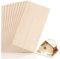 Holzplatten zum Basteln, 200x100x2mm Sperrholzplatte Dünnes Balsaholz Platten Rechteckige Unbehandelte Holzstücke Sperrholz-Platten für DIY Holzarbeiten Gemälde Deko