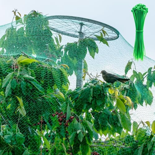 Vogelschutznetz 4x10M, Teichnetz Vogelnetz Engmaschig mit 20 Stück Kabelbinder,Taubennetz Balkon, Pflanzenschutznetz,Gartennetz Obstbaumnetz für Balkon,Gärten,Teich Kirschenbaum (Grün, 4 * 10m)