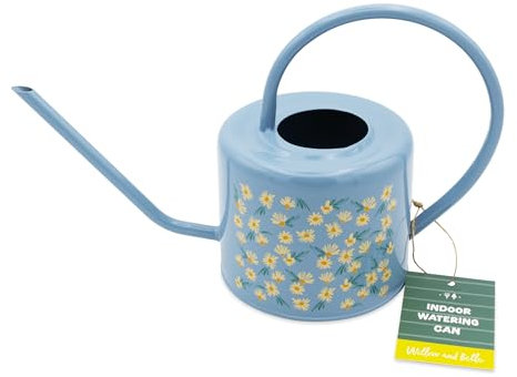 Gießkanne - Gänseblümchenblau Design