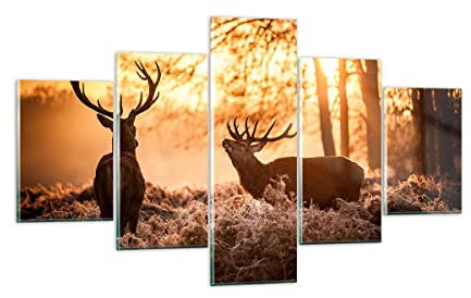 ARTTOR Mehrteilige Bilder auf Glas Deer Heidekraut Tier Glasbild 125x70cm Wandbilder Dekoration Wohnzimmer Schlafzimmer Küche Set 5 teilige Klein Wanddeko Wand Kunstdruck Art Modern GEA125x70-3043
