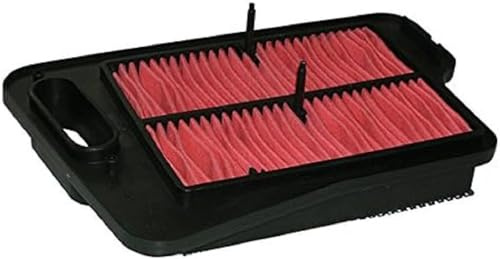 Air Filter SUZUKI burgaman 400 (07/08)
