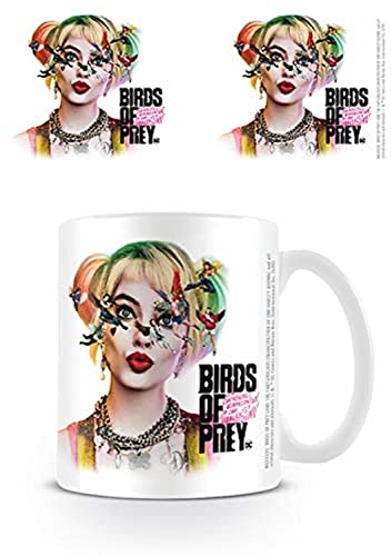 DC Comics MG25855 Mug, Ceramic, 11 Ounces , White
